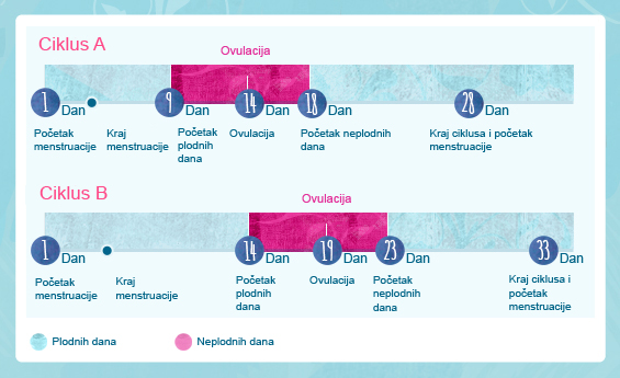 Возможен Ли Секс Каждый День